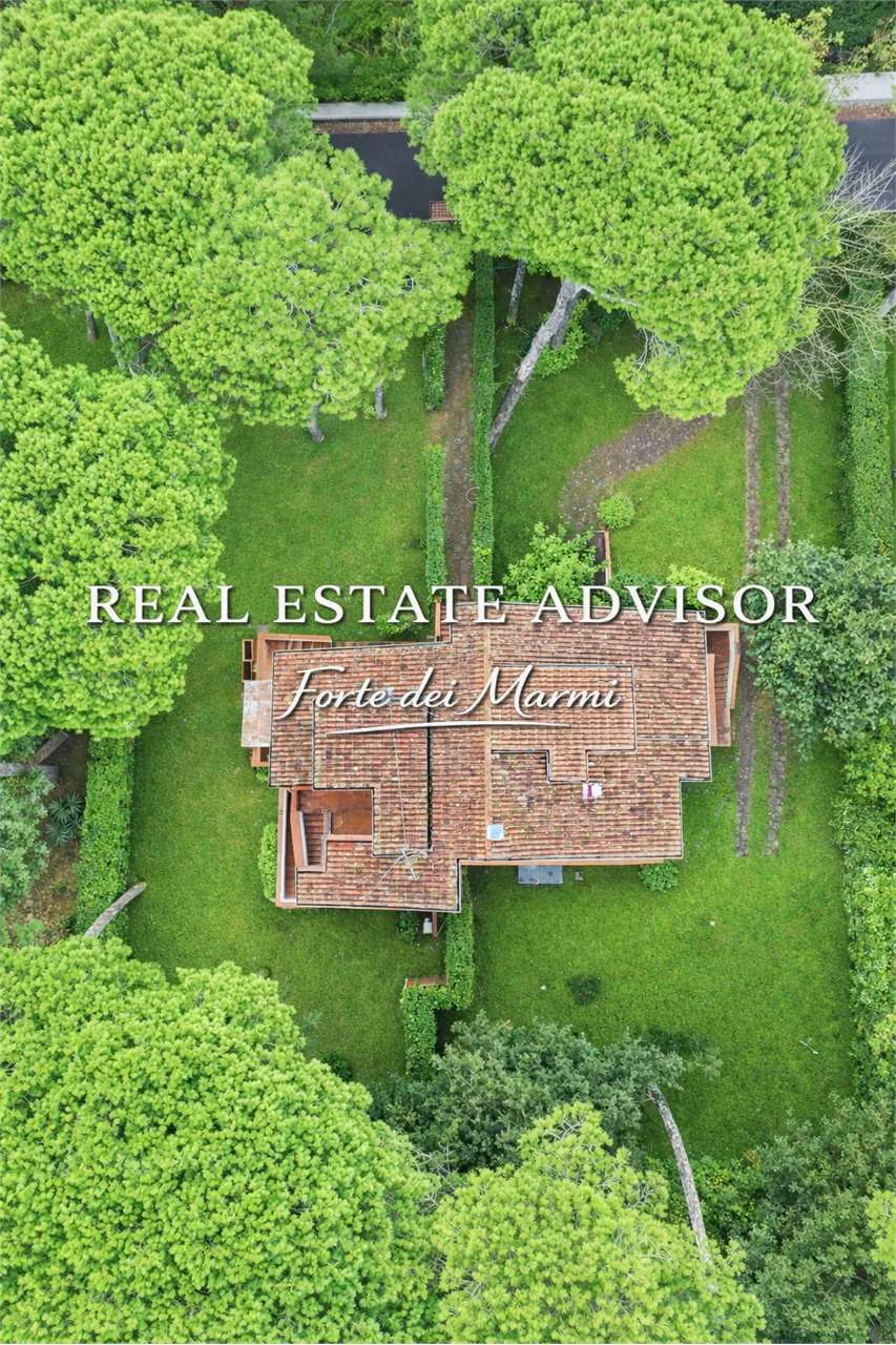 Vittoria Apuana, Forte dei Marmi — A Villa Among Centuries-Old Pines, Just 300 m from the Sea — image 9