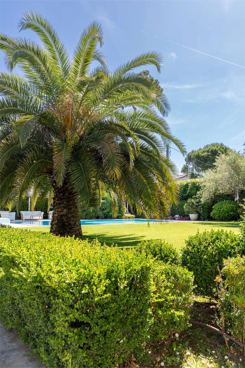 Villa Celeste — image 10
