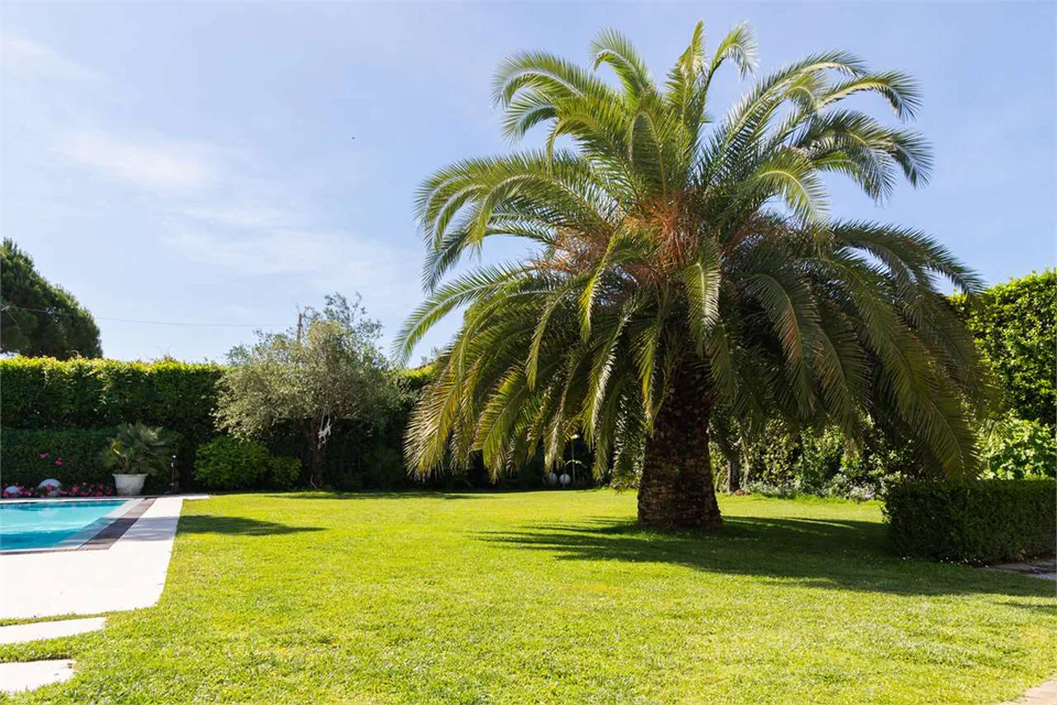 Villa Celeste — image 44