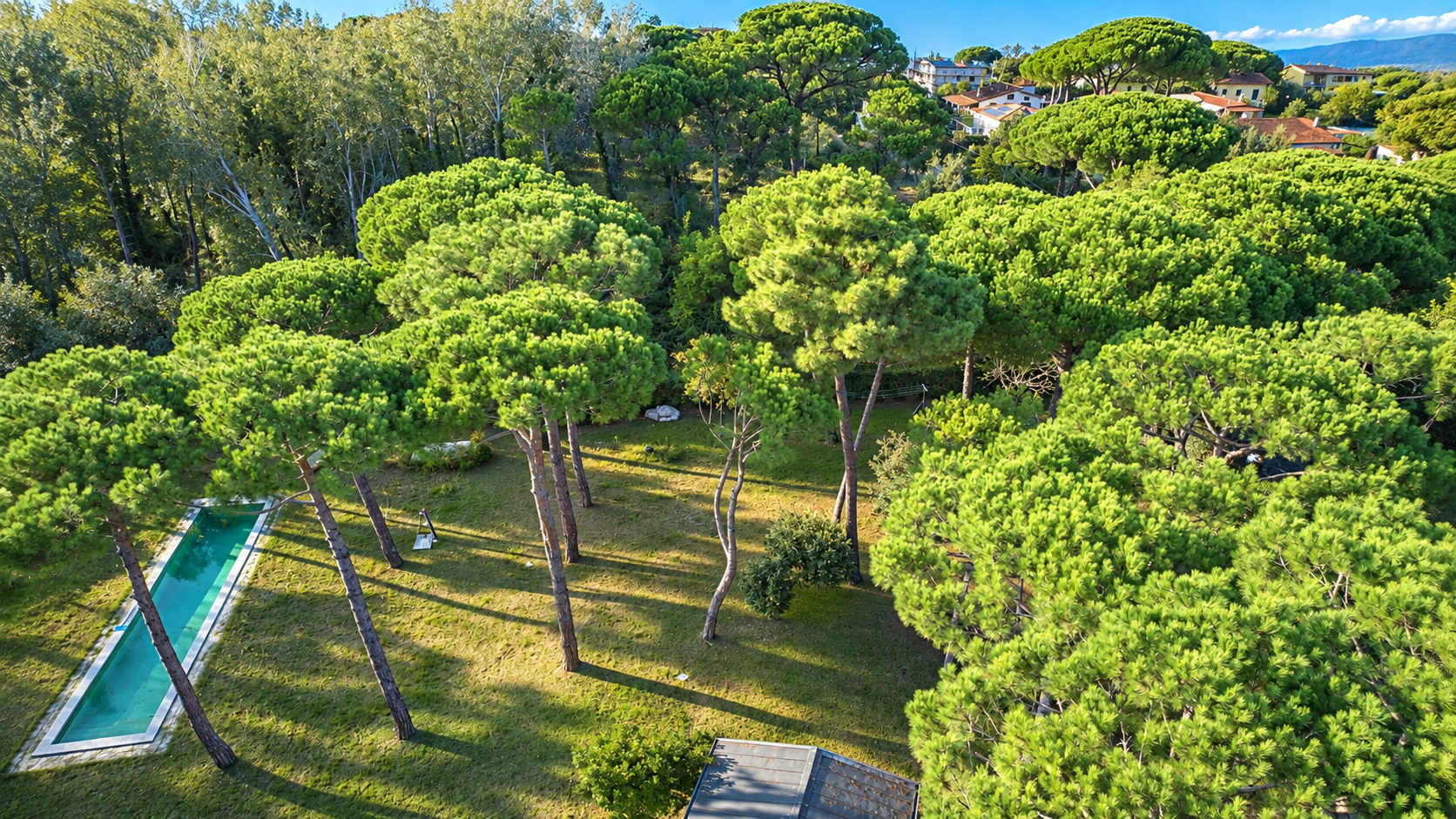 Il grande giardino alberato di Villa Passigli visto dall’alto