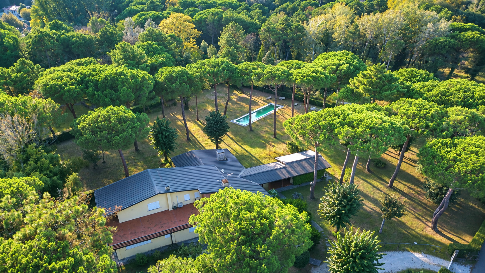 Villa Passigli e il parco di pini visti dall’alto